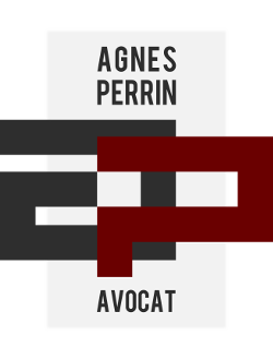 Agnès Perrin - Avocat à Lyon
